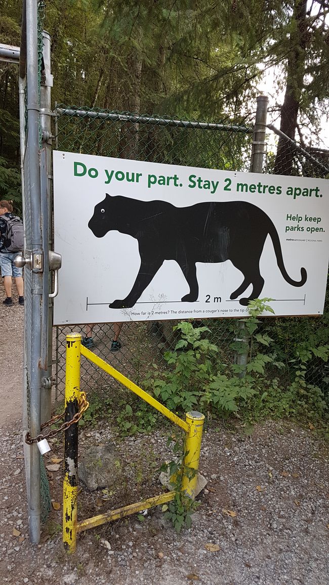 Please also keep a cougar (puma) distance while hiking!