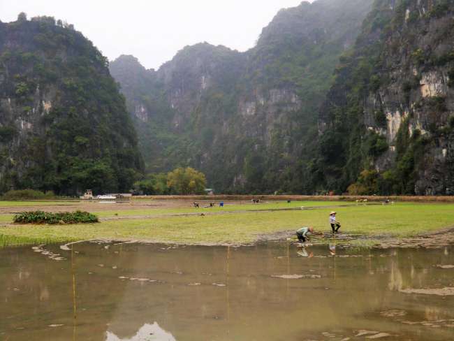 The dry Halong Bay