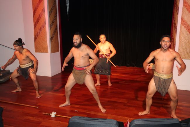 Maori Aufführung 