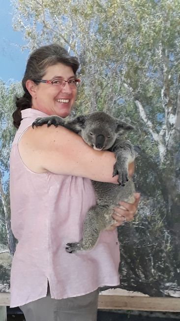 Kuranda Scenic Railway - Skyrail