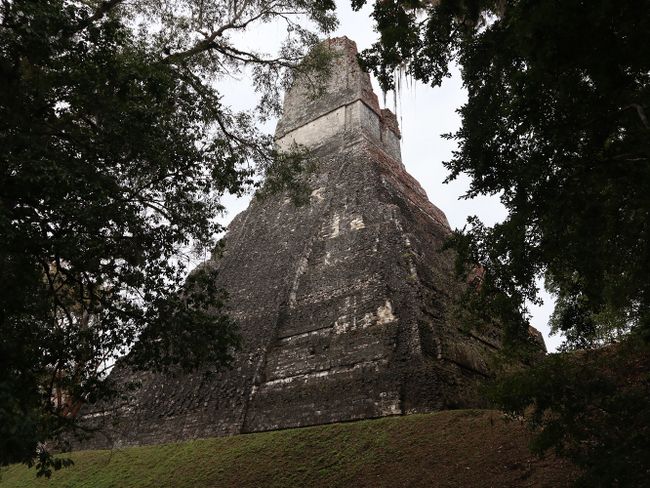 Tikal - A Maya ruin surrounded by jungle :O   (Day 186 of the world tour)