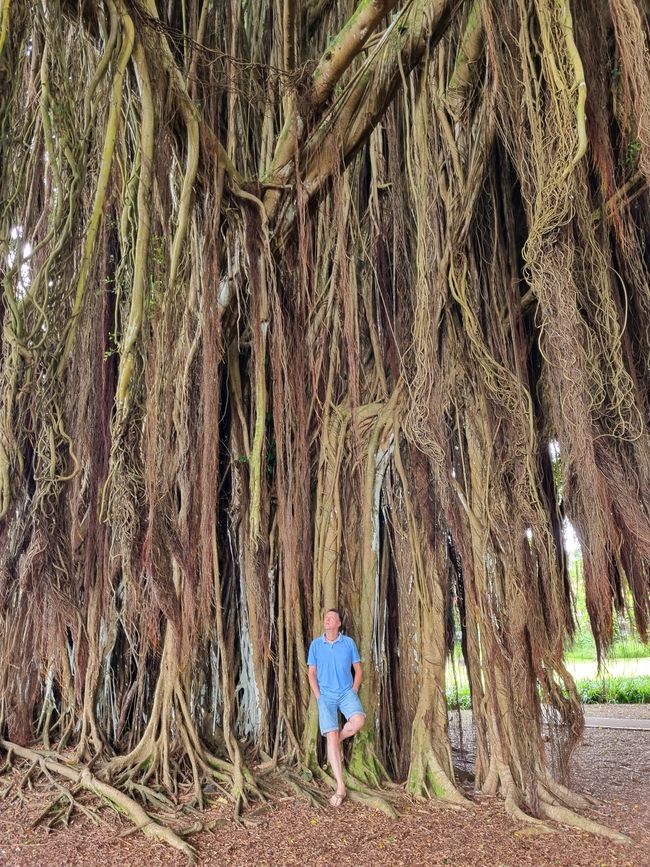 Hawaii 2022 - Teil 1: Big Island