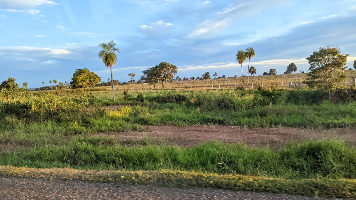 Aufenthalt im Süd Pantanal (Zusammenfassung)