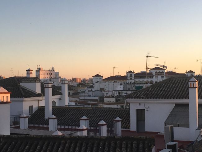 Ausblick von der Dachterrasse des Hostels in Sevilla (The Black Swan Hostel)