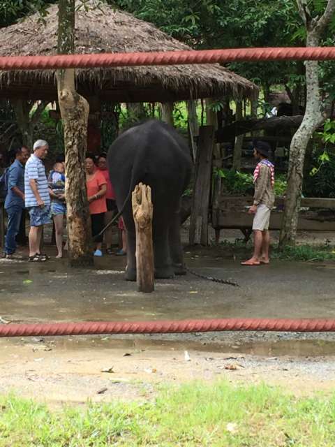 Elephant Sanctury