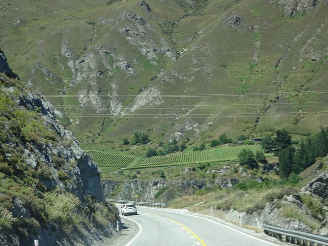 26.12.18 vom Fiordland durch das Lindis Valley bis nach Twizel