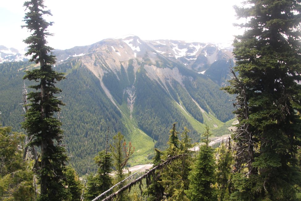 A la carretera de nou: The Needle a Seattle i Mount Rainier a Washington