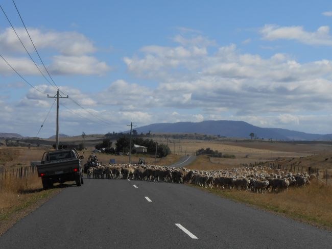 Tasmanien bzw. mein letzter Roadtrip in Australien