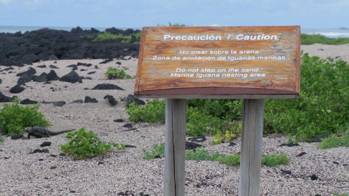 04/26/2023 ຫາ 04/28/2023 - Isabela / Galapagos