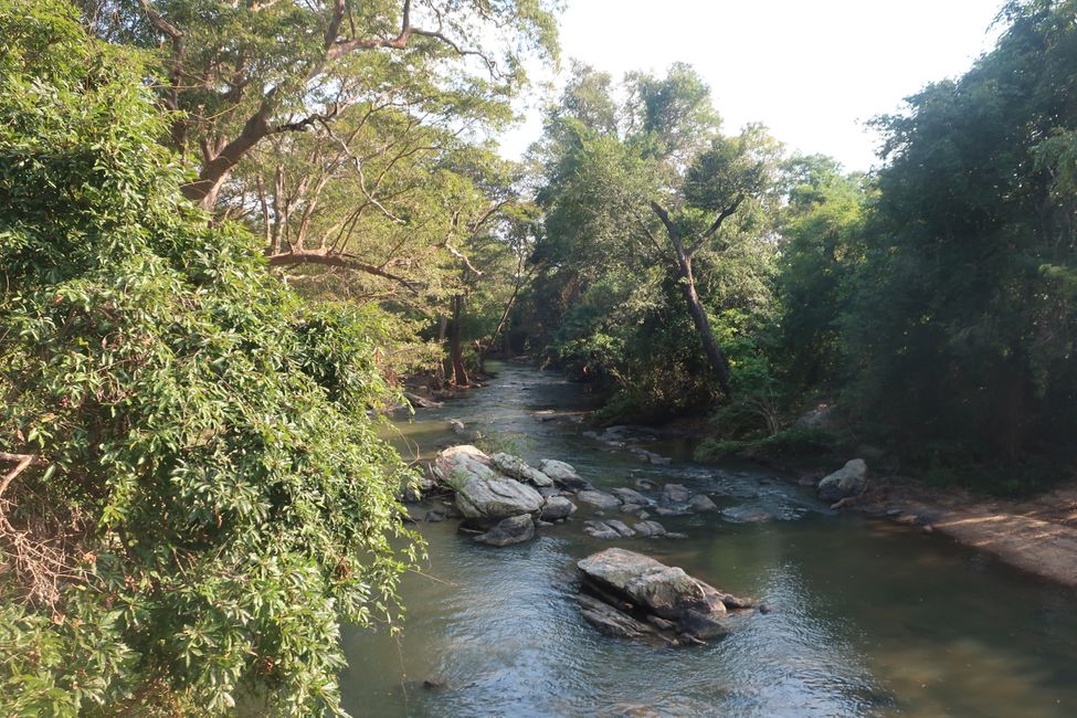 Dschungel Abenteuer am Kumbuk River