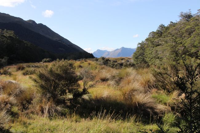 The surroundings during a small hike at the Mavora Lakes