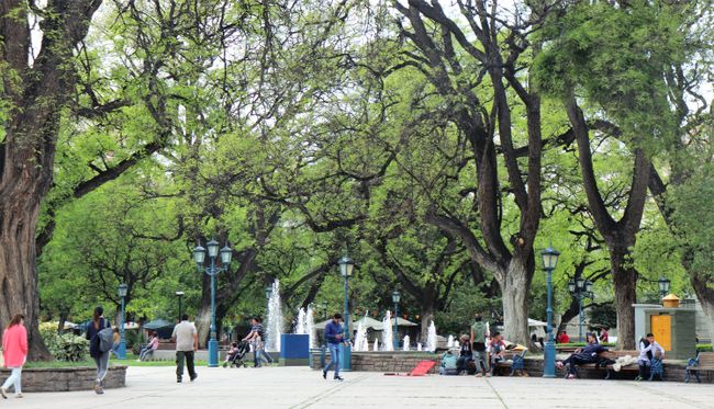 Plaza de Independencia - more like a park in the heart of Mendoza