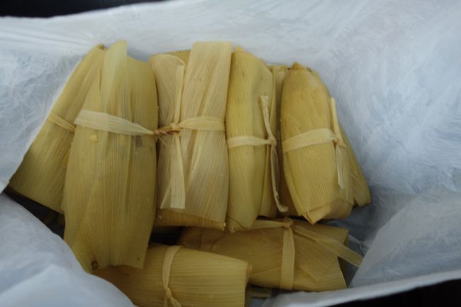 Tamales in Maisblättern verpackt 
