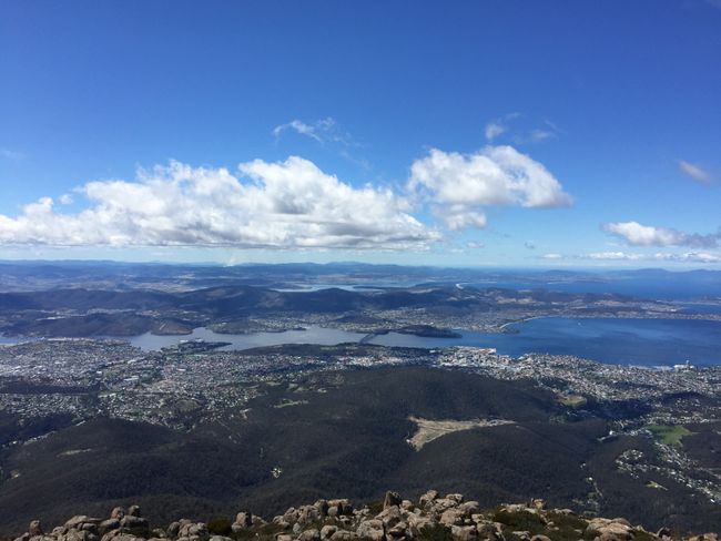 Tasmanien: im Land des tasmanischen Teufels