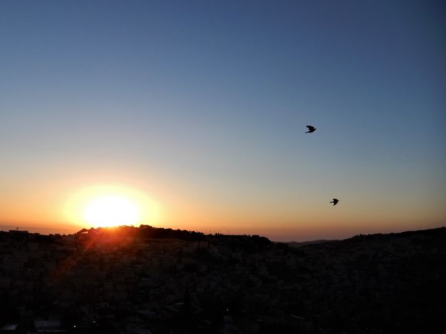 die wunderschöne Morgensonne :-)