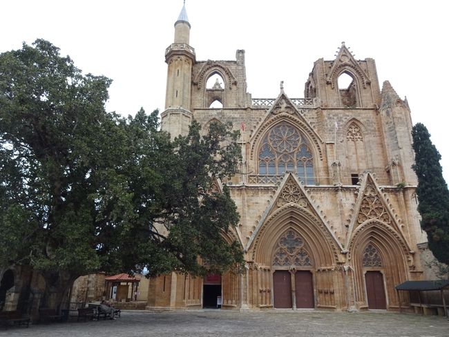 Hier eine der Ex-Kathedralen-jetzt-Moschee in Famagusta mit 700 Jahre altem Maulbeerbaum davor.