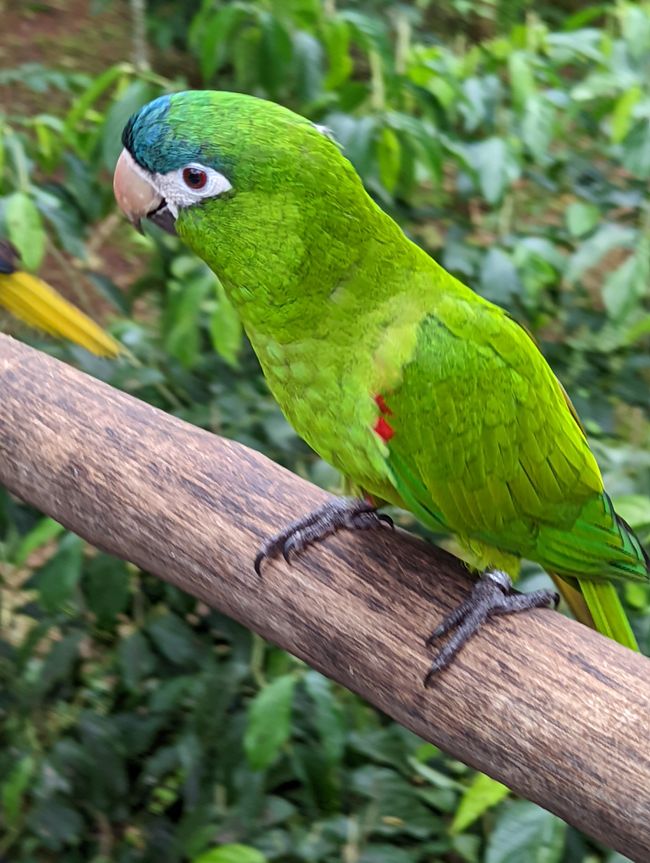 07.06.2022 - Vogelpark und Wasserfälle
