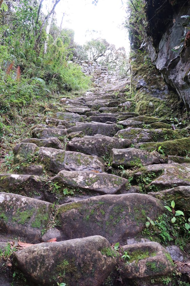 Originale Inca Stufen