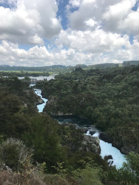 Rapids on the Waikato River 🏞