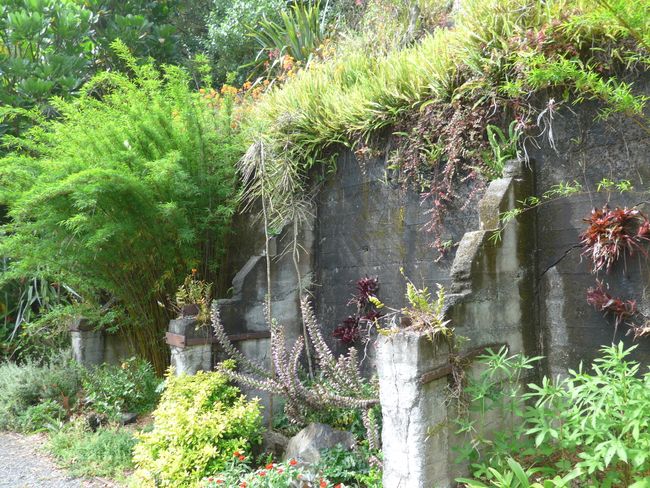 Von Whangarei bis Paihia - Gardens, Battlefield, and Hundertwasser (New Zealand Part 9)