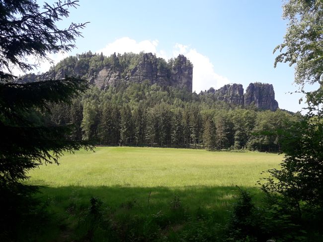 Wildwiese with a view of the Schrammsteine
