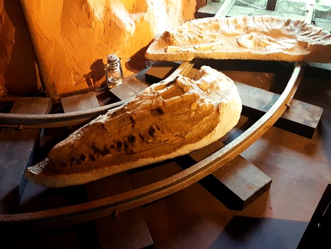 Mosasaurus skull at 'Treasures of the World'