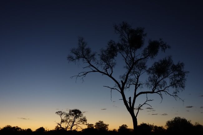 The Outback at dusk