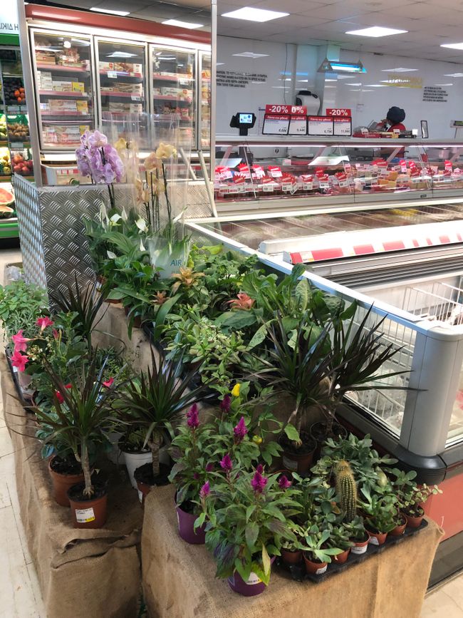 In the supermarket the plant department is right next to the meat counter.