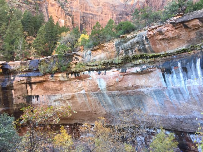 Lower Emerald Pools, Zion NP