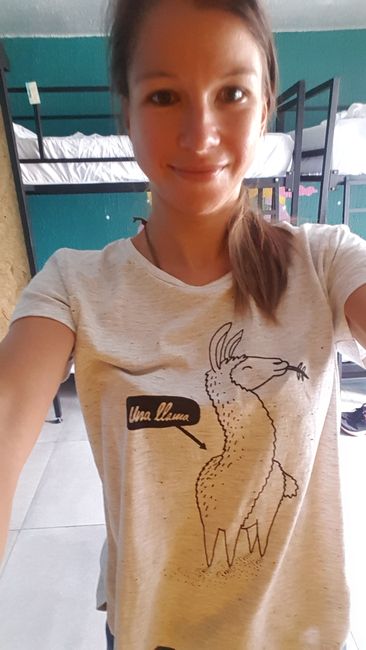 Mein neues Lama-t-shirt:)