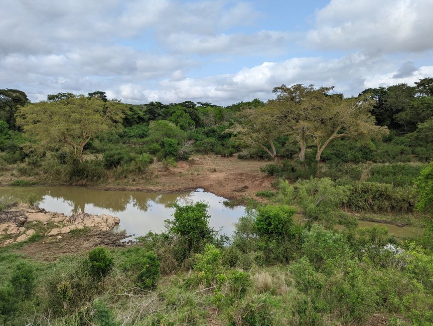 Hluhluwe-Imfolozi-Nationalparks