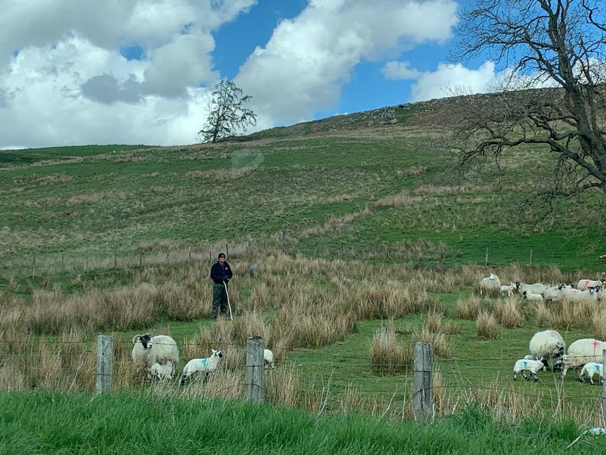 A shepherd as a border crosser