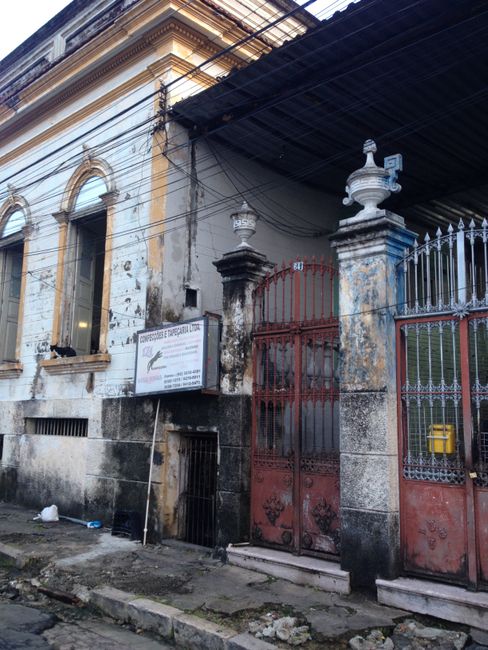 Brasilien: Manaus