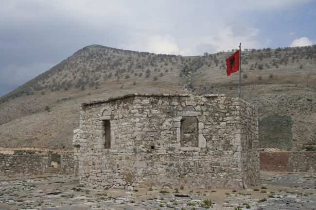 Myndaviðhengi villt Albanía