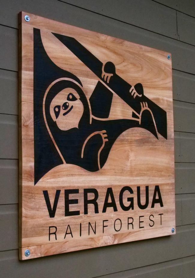 15/02/2023 to 16/02/2023 - Veragua Rainforest / Costa Rica