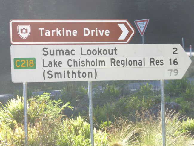 Tarkine Drive, Trowutta Arch, 9 Stunden im Auto und Schnabeltiere in Waratah