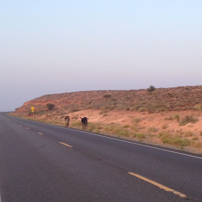 Ride West: Four Corners