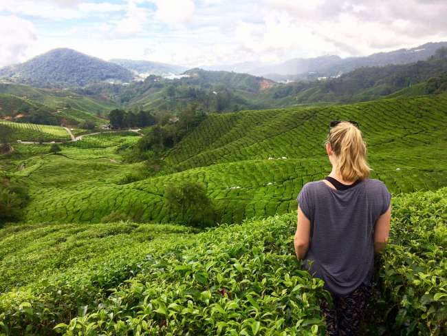 Hiking in the Cameron Highlands