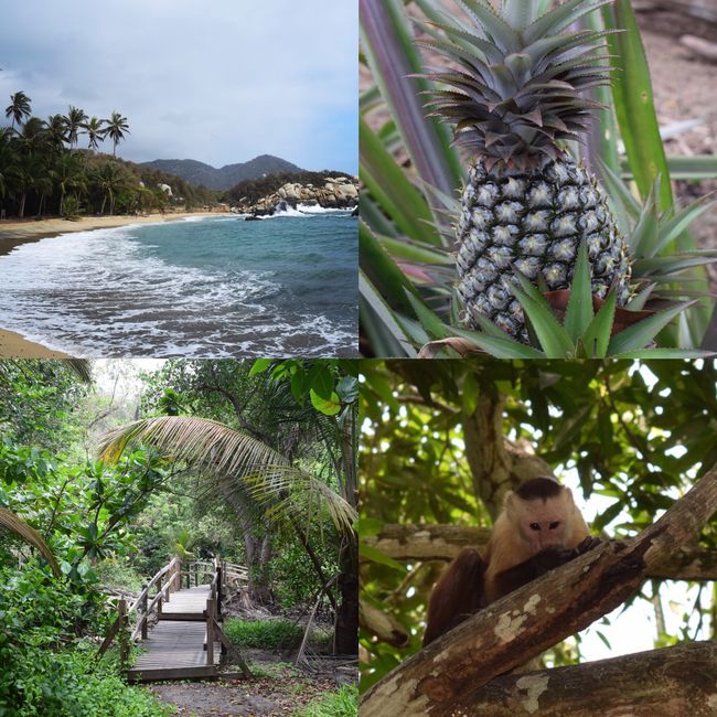 Beach paradise in Colombia