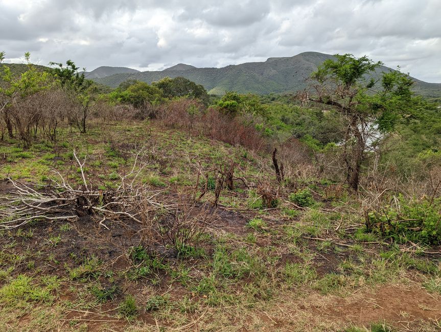 Hluhluwe-Imfolozi-Nationalparks