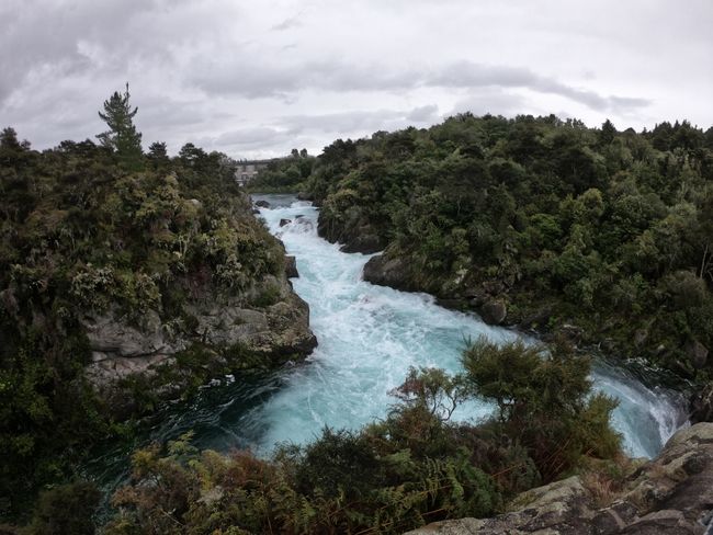 the North Island of New Zealand