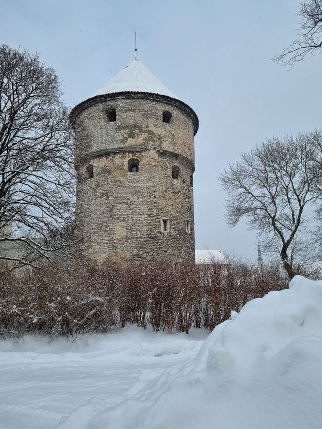 Day Trip to Tallinn