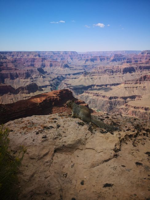 Tag 19 - Grand Canyon Nationalpark