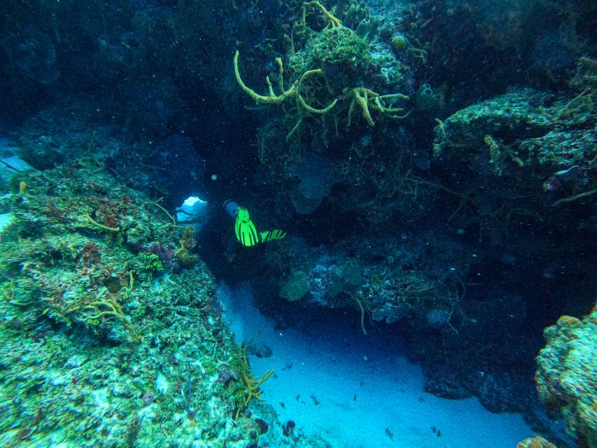 Tag 283 - Bootstauchgang am Santa Rosa Reef & Punta Tunich