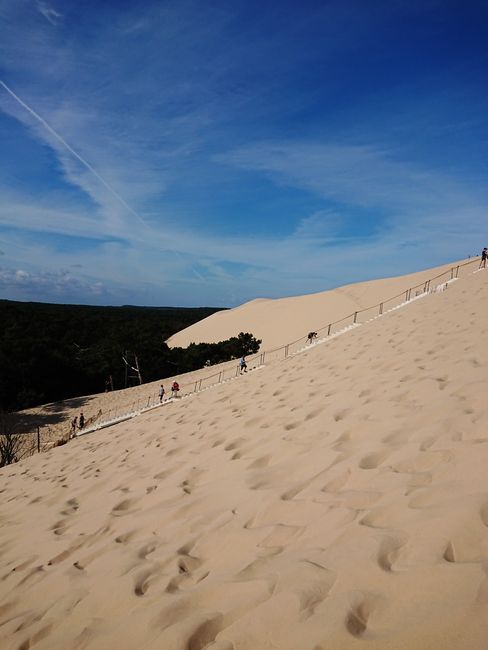 Pilar's Dune