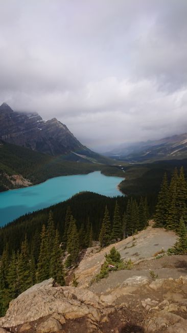 Peyto Lake, Banff National Park 