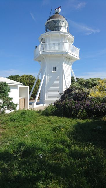 Katiki Point Leuchtturm 