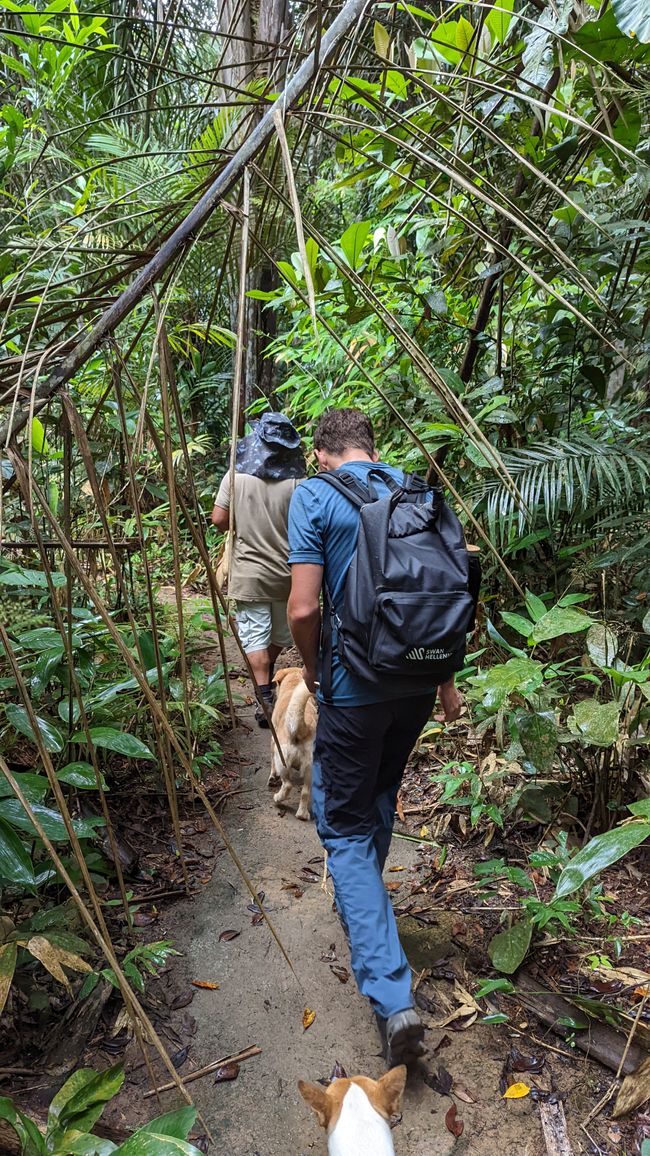 2. Día en la selva amazónica