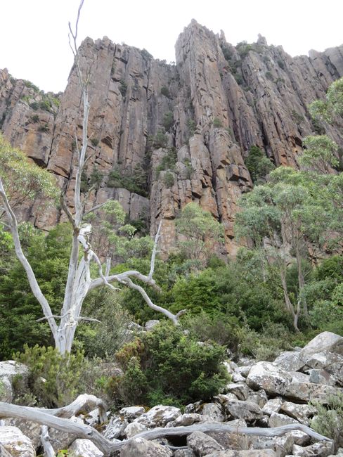 The "Organ Pipes" - where are the climbers?