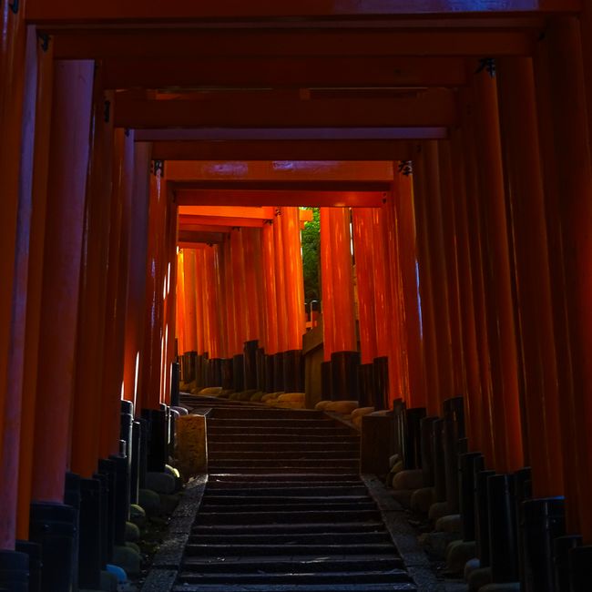 Tag 8&9: Fushimi Inari und Arashiyama 
